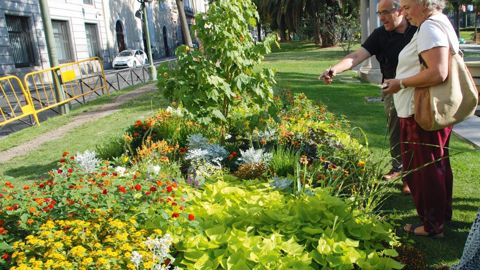En plein Madrid et après un été torride, visite d'un massif composé par les établissements Simier.PHOTO : SIMIER