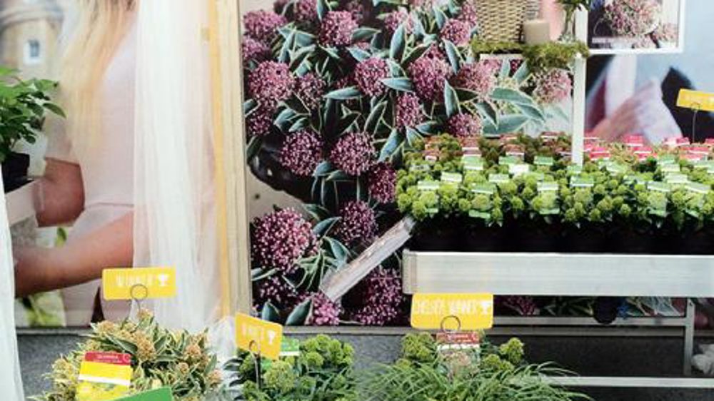 Les pépinières Van Son & Koot Bv ont décroché le prix du « Meilleur stand du Plantarium 2014 ». Les pépinières Van Son & Koot Bv ont décroché le prix du « Meilleur stand du Plantarium 2014 ».