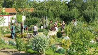 Le concours du Lien horticole intitulé « Apprendre, avec les pros ! » invite les apprenants à communiquer sur les réalisations ou missions qu'ils ont menées en collaboration avec des entreprises, et à réaliser un blog sur une plate-forme dédiée. Le concours du Lien horticole intitulé « Apprendre, avec les pros ! » invite les apprenants à communiquer sur les réalisations ou missions qu'ils ont menées en collaboration avec des entreprises, et à réaliser un blog sur une plate-forme dédiée.