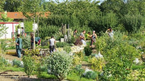 Le concours du Lien horticole intitulé « Apprendre, avec les pros ! » invite les apprenants à communiquer sur les réalisations ou missions qu'ils ont menées en collaboration avec des entreprises, et à réaliser un blog sur une plate-forme dédiée.