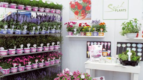 Tel Volmary avec ses gammes Soul Flower et Soul Food, l'amont de la filière travaille à la fois sur les nouveautés, le marketing, les couleurs, la structuration des gammes par marché...