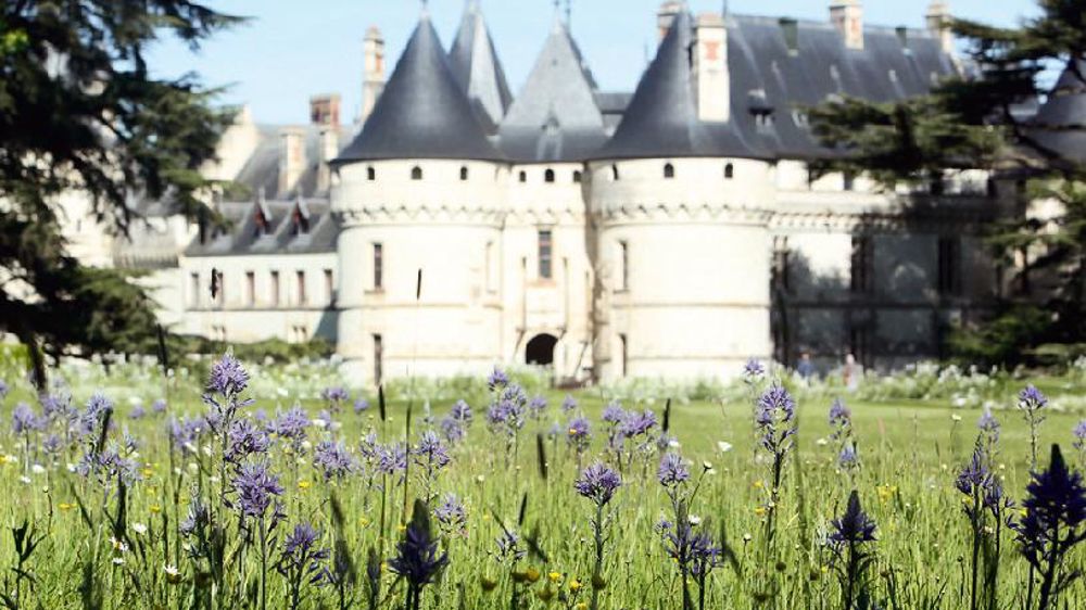 Pour le magazine Géo Voyage, « derrière un château et un parc d'apparence classique, se cache, à Chaumont-sur-Loire (41), un espace dédié aux tendances proposées par de jeunes créateurs ».PHOTO : CHAUMONT-SUR-LOIRE Pour le magazine Géo Voyage, « derrière un château et un parc d'apparence classique, se cache, à Chaumont-sur-Loire (41), un espace dédié aux tendances proposées par de jeunes créateurs ».PHOTO : CHAUMONT-SUR-LOIRE