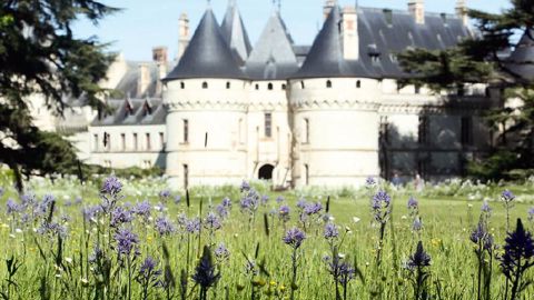 Pour le magazine Géo Voyage, « derrière un château et un parc d'apparence classique, se cache, à Chaumont-sur-Loire (41), un espace dédié aux tendances proposées par de jeunes créateurs ».PHOTO : CHAUMONT-SUR-LOIRE