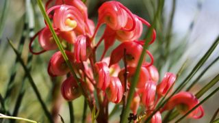 L'ambition du nouveau site est de contribuer au transfert des connaissances cumulées par les stations sur les innovations végétales.PHOTO : SCRADH