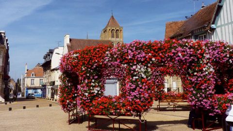 L'édition 2011 de Normandie Véget'Halle à Saint-Pierre-sur-Dives a réuni environ 270 professionnels : 26 % des visiteurs étaient des producteurs, 23 % des paysagistes, 35 % des collectivités.PHOTO : HORTI PÉPI