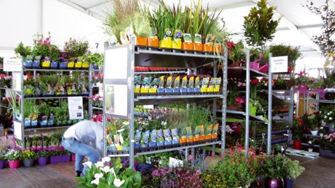 Cette année, trente-six entreprises des Pays de la Loire donnent rendez-vous aux professionnels dans le cadre des Visites vertesPHOTO : FRANCIS GINESTET Cette année, trente-six entreprises des Pays de la Loire donnent rendez-vous aux professionnels dans le cadre des Visites vertesPHOTO : FRANCIS GINESTET