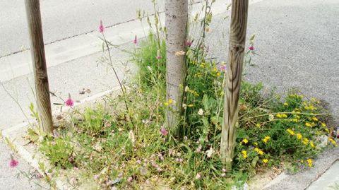 PHOTO : ODILE MAILLARD