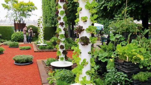 L'édition 2015 de Jardins, Jardin aux Tuileries, à Paris, avait été perturbée par un temps médiocre.PHOTO : ODILE MAILLARD