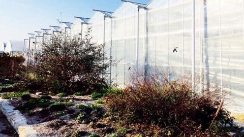 PHOTO : VALÉRIE VIDRIL