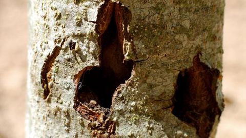 PHOTO : JÉRÔME JULLIEN