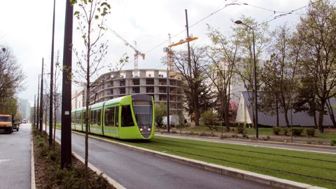 Les expérimentations menées pour les tramways feront l'objet d'uneconférence lors de la journée de Plante & Cité du 25 septembre, visant àaider les gestionnaires à mieux choisir leur palette végétale.