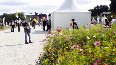 L'une des raisons de la réussite de Salonvert tient à son allée unique qui offre aux 500 marques présentes une parfaite exposition auprès des visiteurs.