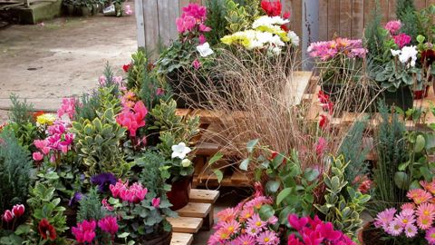 La gestion des emballages sur un point de vente est l'un des thèmes des miniformations proposées par huit entreprises participant aux Visitesvertes. La gestion des emballages sur un point de vente est l'un des thèmes des miniformations proposées par huit entreprises participant aux Visitesvertes.