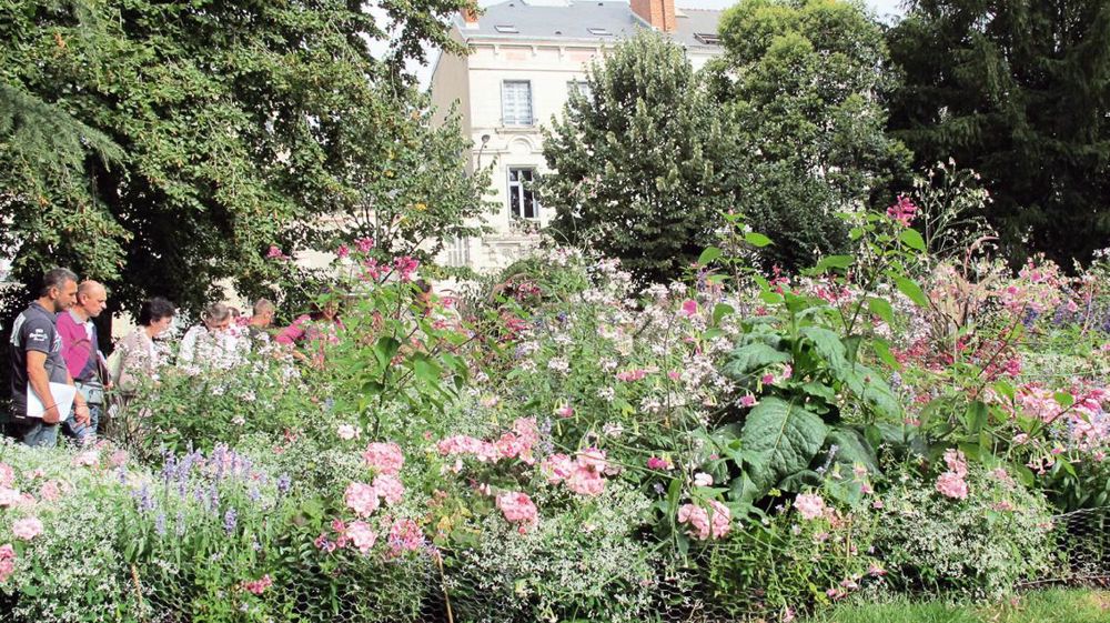 Le jardin des Prébendes d'Oé à Tours se prête à de multiples mises en scènes végétales graciles, colorées et d'envergure. Le jardin des Prébendes d'Oé à Tours se prête à de multiples mises en scènes végétales graciles, colorées et d'envergure.
