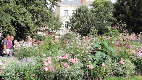 Le jardin des Prébendes d'Oé à Tours se prête à de multiples mises en scènes végétales graciles, colorées et d'envergure.