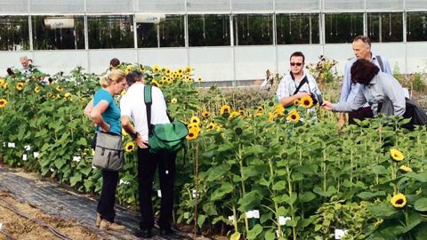 PHOTO : FLEURO SELECT