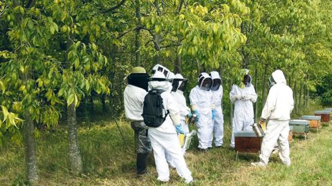 Les partenariats menés par le centre de formation et de promotion horticole de Lyon-Écully (69) et ses stagiaires adultes autour de la biodiversité, de l'apiculture, de l'agriculture urbaine et de la botanique entrent, par exemple, dans le cadre du concours.PHOTO : CFPH-ÉCULLY