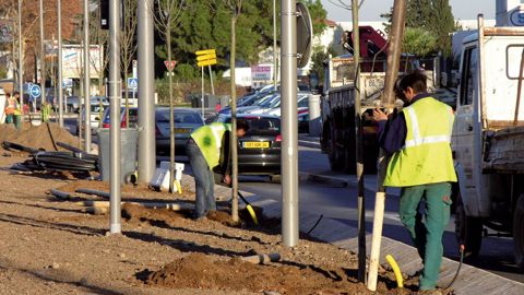 La bonne espèce au bon endroit : un principe mieux respecté aujourd'hui, même si des progrès restent à accomplir. Avec ses pôles conseil, le Lien horticole apporte sa contribution.