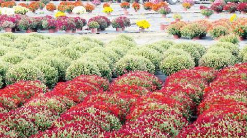 PHOTO : BHR - MAUD DUBOIS