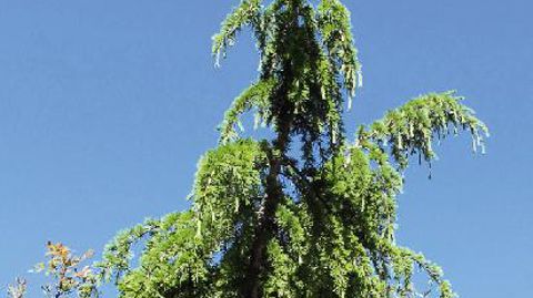 PHOTO : VALÉRIE VIDRIL