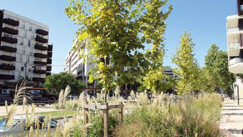 Les marchés privés hors particuliers réalisent dans l'ensemble un bon début d'année.