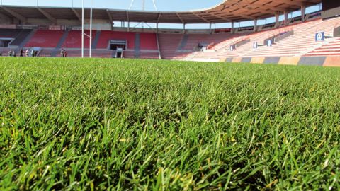 Avec la mise sur Internet des cahiers techniques constituant feu l'Encyclopédie des gazons, la SFG vise à promouvoir le gazon naturel face à la montée de l'artificiel.