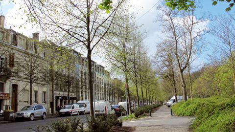 Le végétal trouve toute sa place au coe ur des aménagements des villes et des villages. C'est ce que vont démontrer le CNVVF et la FNCAUE, jeudi 25 octobre, à Angers.