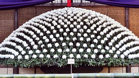 PHOTO : MINISTÈRE DE L'ENVIRONNEMENT DU JAPON