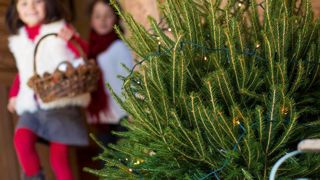 PHOTO : A. CHILDERIC