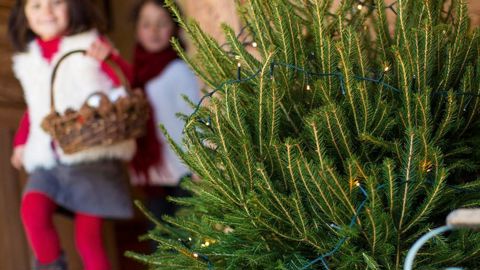 PHOTO : A. CHILDERIC