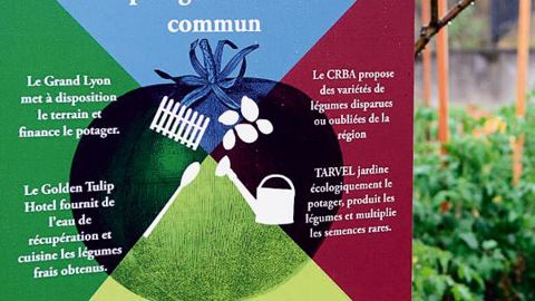 Le potager résulte d'un partenariat entre quatre entités.PHOTO : GRAND LYON