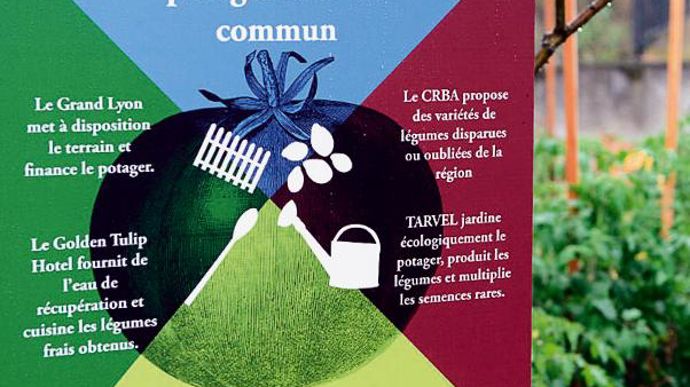 Le potager résulte d'un partenariat entre quatre entités.PHOTO : GRAND LYON