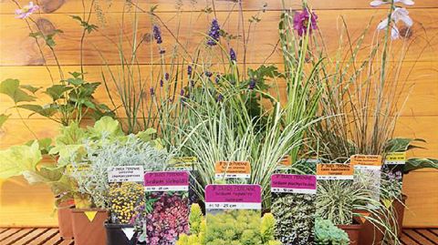 L'entreprise propose sept coloris de chromos pour identifier les thèmes suggérés et les utilisations préconisées.