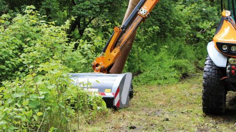 Pour lutter contre les renouées asiatiques, le projet récompensé par le prix IBPM a l'ambition de faire émerger des techniques curatives innovantes et adaptées aux contraintes des gestionnaires d'infrastructures.PHOTO NOREMAT