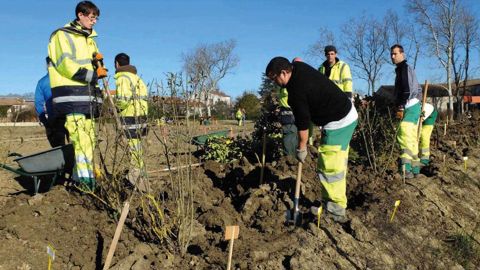 Parmi les premières écoles à avoir manifesté leur intérêt pour le concours figure le CFA de Lomme, avec un chantier de verger-maraîcher.PHOTO CFA DU NORD