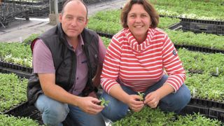 Mark et Cécile Hodson misent sur le commerce international pour valoriser leurs gammes d'alstroemères et d'agapanthes.VALERIE VIDRIL