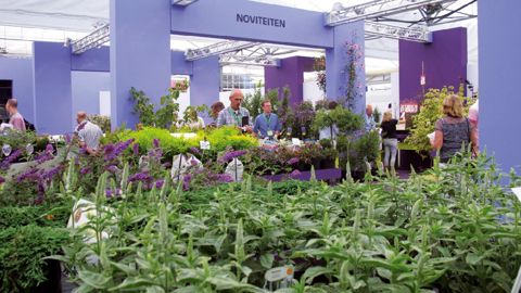 Plus de 17 000 visiteurs ont découvert 70 nouveautés à Plantarium, salon néerlandais de la pépinière.