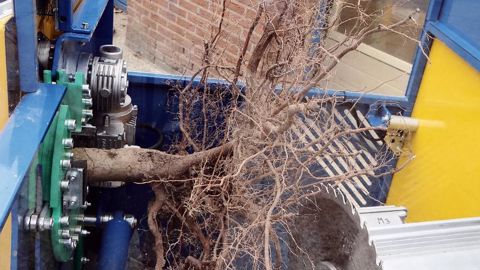 La coupeuse de racines 2.0 a reçu le Prix de l'innovation Rabo Bank. Cette machine existait déjà, mais elle a été améliorée et son prix revu à la baisse.