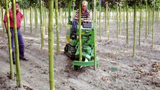 Les visiteurs découvriront sur le salon néerlandais Expo TCO la production locale d'arbres d'alignement et pourront assister à des démonstrations de machines.PHOTO : EXPO TCO Les visiteurs découvriront sur le salon néerlandais Expo TCO la production locale d'arbres d'alignement et pourront assister à des démonstrations de machines.PHOTO : EXPO TCO