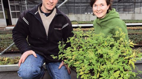 Benoît Javoy et Marie-Laure Rauline ont rejoint en 2010 l'entreprise créée par leurs parents.PHOTOS : JAVOY