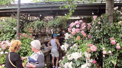 Les quantités de végétaux vendues au premier semestre ont reculé de 10 % en volume et 3,6 % en valeur par rapport à l'année passée, selon le panel de consommation révélé récemment par FranceAgriMer.