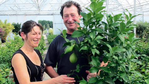 « Cette gamme nous permet de proposer un produit différent et d'affirmer notre image de producteurs », soulignent Sandrine et Frédéric Sérusier, dont l'entreprise, Agrumes de Méditerranée, est basée en Anjou.PHOTO : PASCAL FAYOLLE