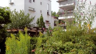 Quelle place pour le jardinage collectif en ville ? Quel impact sur l'écologie urbaine ? Telles seront quelques-unes des questions abordées lors du colloque de Strasbourg.