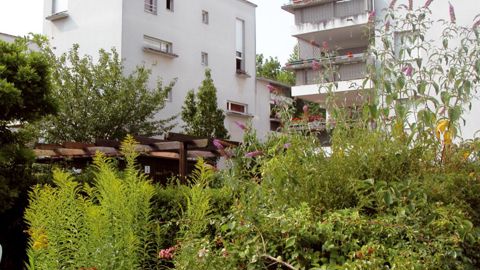 Quelle place pour le jardinage collectif en ville ? Quel impact sur l'écologie urbaine ? Telles seront quelques-unes des questions abordées lors du colloque de Strasbourg. Quelle place pour le jardinage collectif en ville ? Quel impact sur l'écologie urbaine ? Telles seront quelques-unes des questions abordées lors du colloque de Strasbourg.