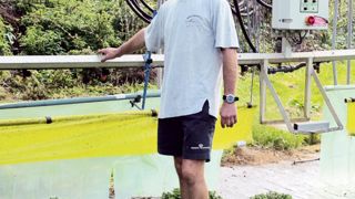 « Une bande découpée dans une bâche de couverture plastique de 200 microns, segmentée en lamelles, et accrochée au chariot d'irrigation, assure la stimulation mécanique des apex », explique Alain Brichet.