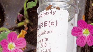 Le biocontrôle est défini comme « l'ensemble des méthodes de protection des végétaux qui utilisent des mécanismes naturels ». Le biocontrôle est défini comme « l'ensemble des méthodes de protection des végétaux qui utilisent des mécanismes naturels ».
