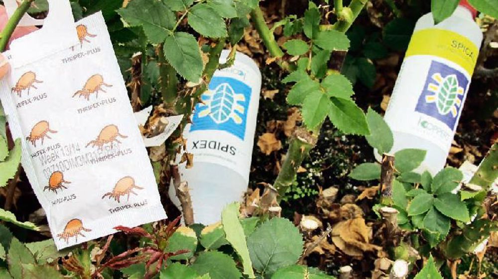 Selon l'IBMA, le secteur du biocontrôle devrait représenter 15 % du marché de la protection des plantes d'ici à 2020, contre 5 % actuellement. Selon l'IBMA, le secteur du biocontrôle devrait représenter 15 % du marché de la protection des plantes d'ici à 2020, contre 5 % actuellement.