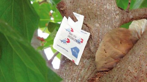 PHOTO : VALÉRIE VIDRIL