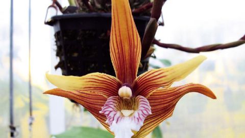 PHOTO : VALÉRIE VIDRIL