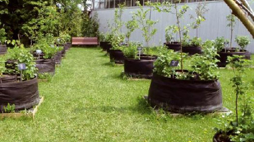 PHOTO : WWW.URBAINCULTEURS.ORG